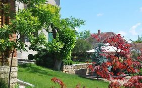 Guesthouse Djuric